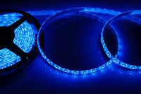 LED-лента влагозащ. ip65 8 мм smd 3528 синяя (цена указана за 1 м)