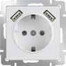 WERKEL WL01-SKGS-USBx2-IP20 / Розетка с заземлением, шторками и USBх2 (белая)