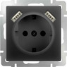 WERKEL WL08-SKGS-USBx2-IP20 / Розетка с заземлением, шторками и USBх2 (черный матовый)